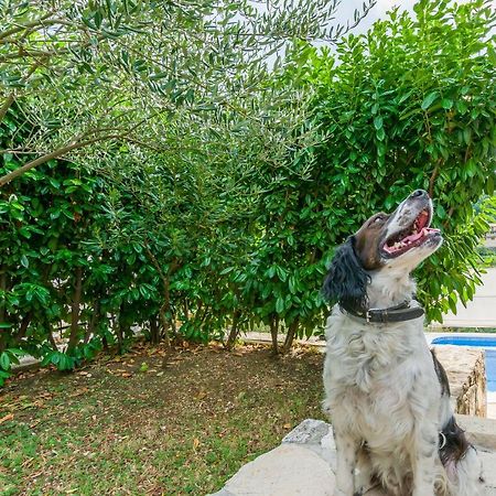 Villa Holiday Home Zvecanje Dış mekan fotoğraf