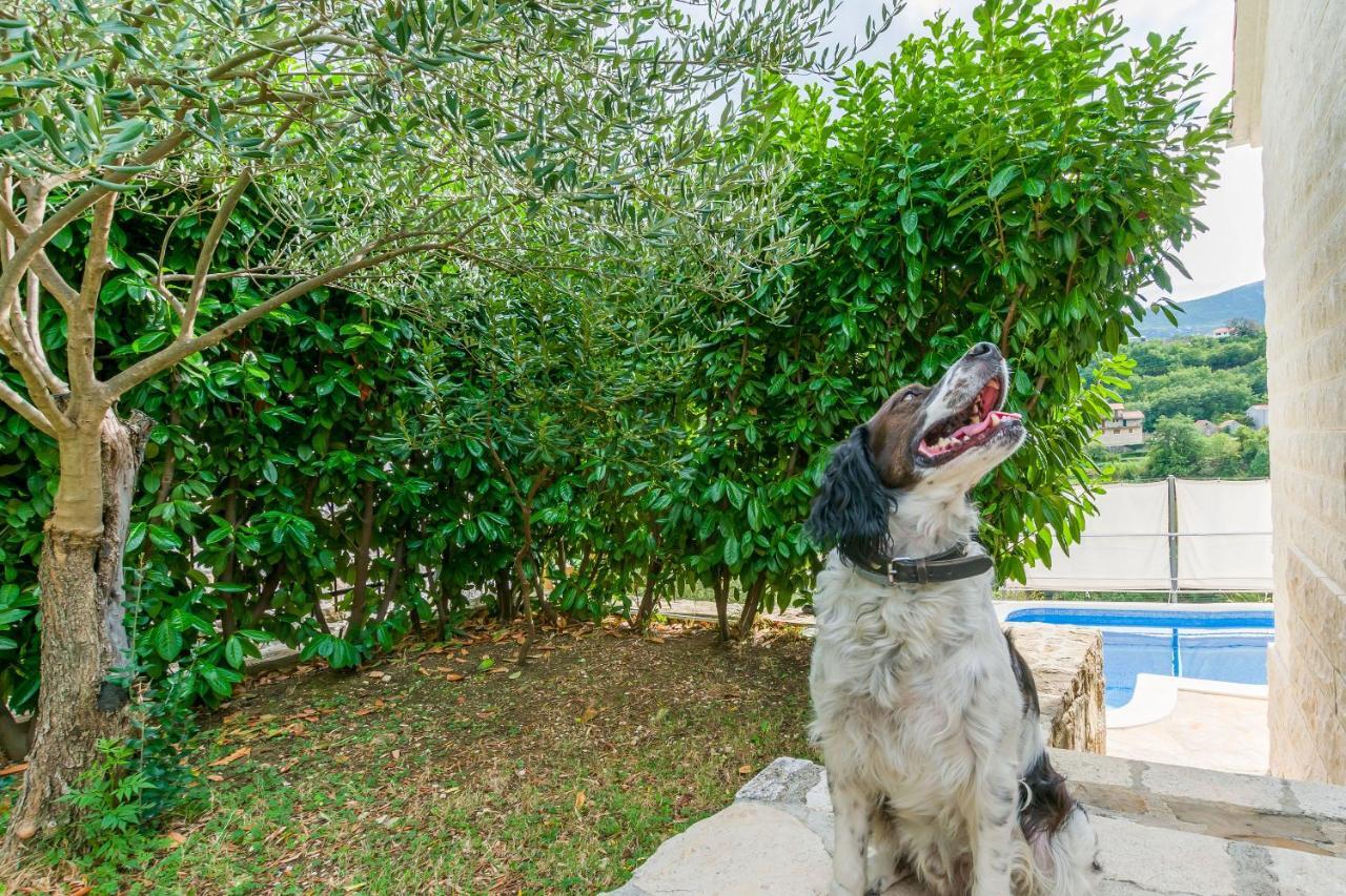 Villa Holiday Home Zvecanje Dış mekan fotoğraf